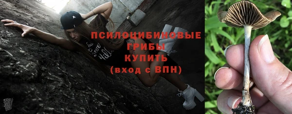 прущий лед Аркадак