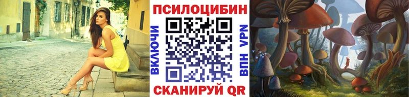 Купить закладки  Юхнов  Галлюциногенные грибы GOLDEN TEACHER 